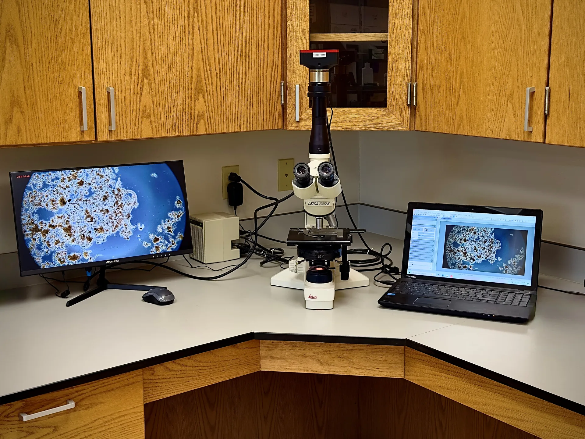 Wastewater Lab